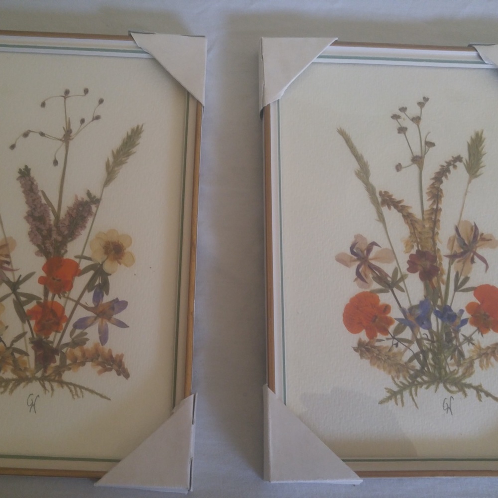 Dried Flowers Framed Art (never used - vintage)